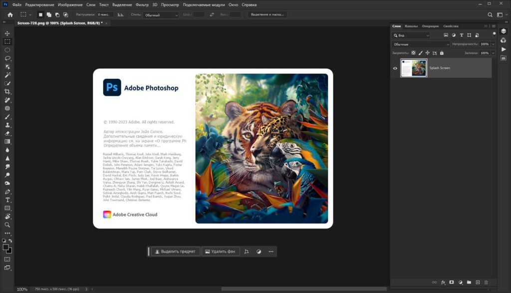 Baixar Adobe Photoshop 2024