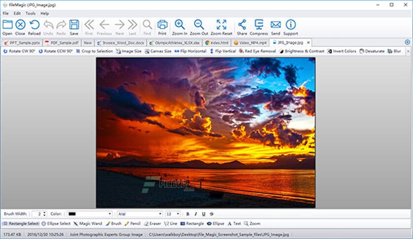 File Magic