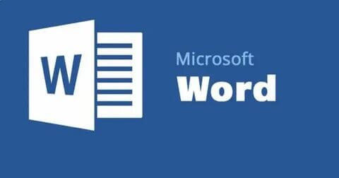 Word 2010