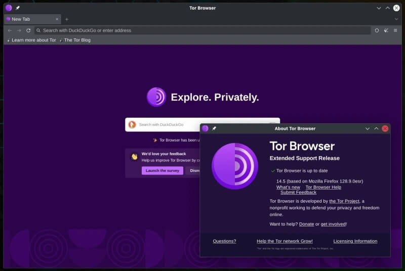 Baixar Tor Browser Crackeado Português
