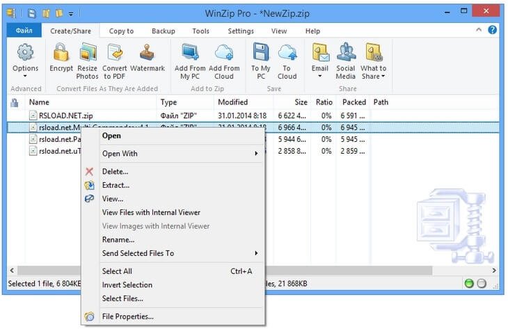 Baixar Winzip Crackeado Português
